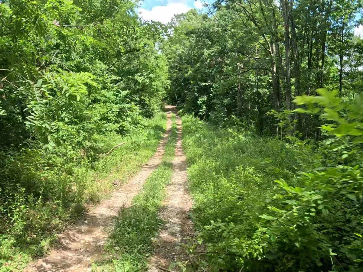 W27 trail photo