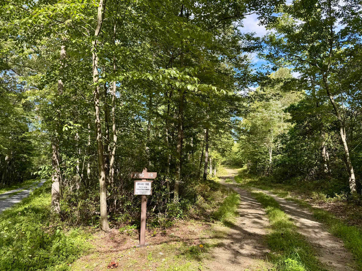 King Trail photo 2