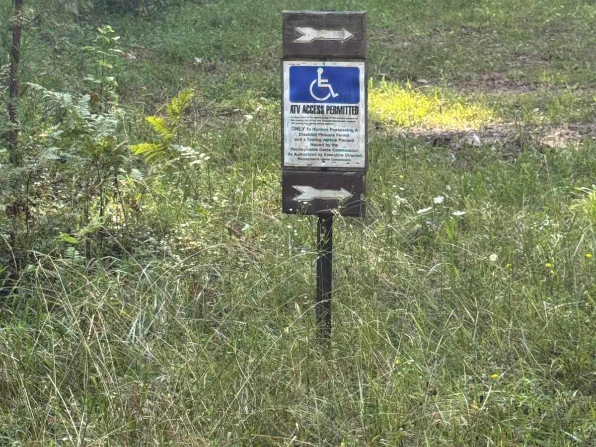 Pine Run Road photo 5