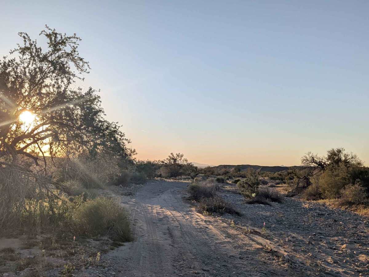EC1243 West trail photo