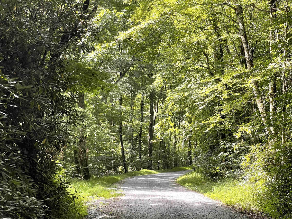 Carroll Gragg Road photo 5