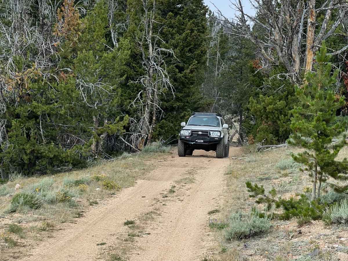Barton Gulch and Offshoots photo 3