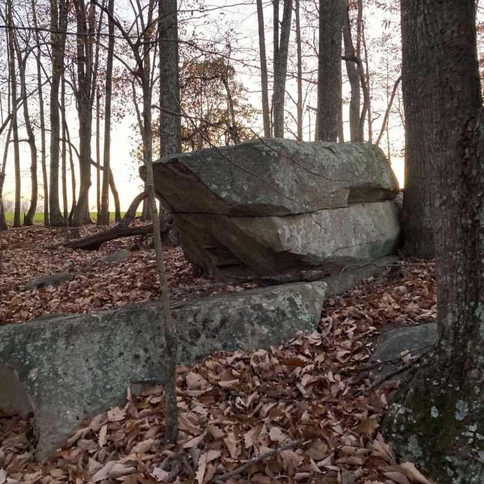 Near Rock Nature Trails Phase 1 Southwest Extension