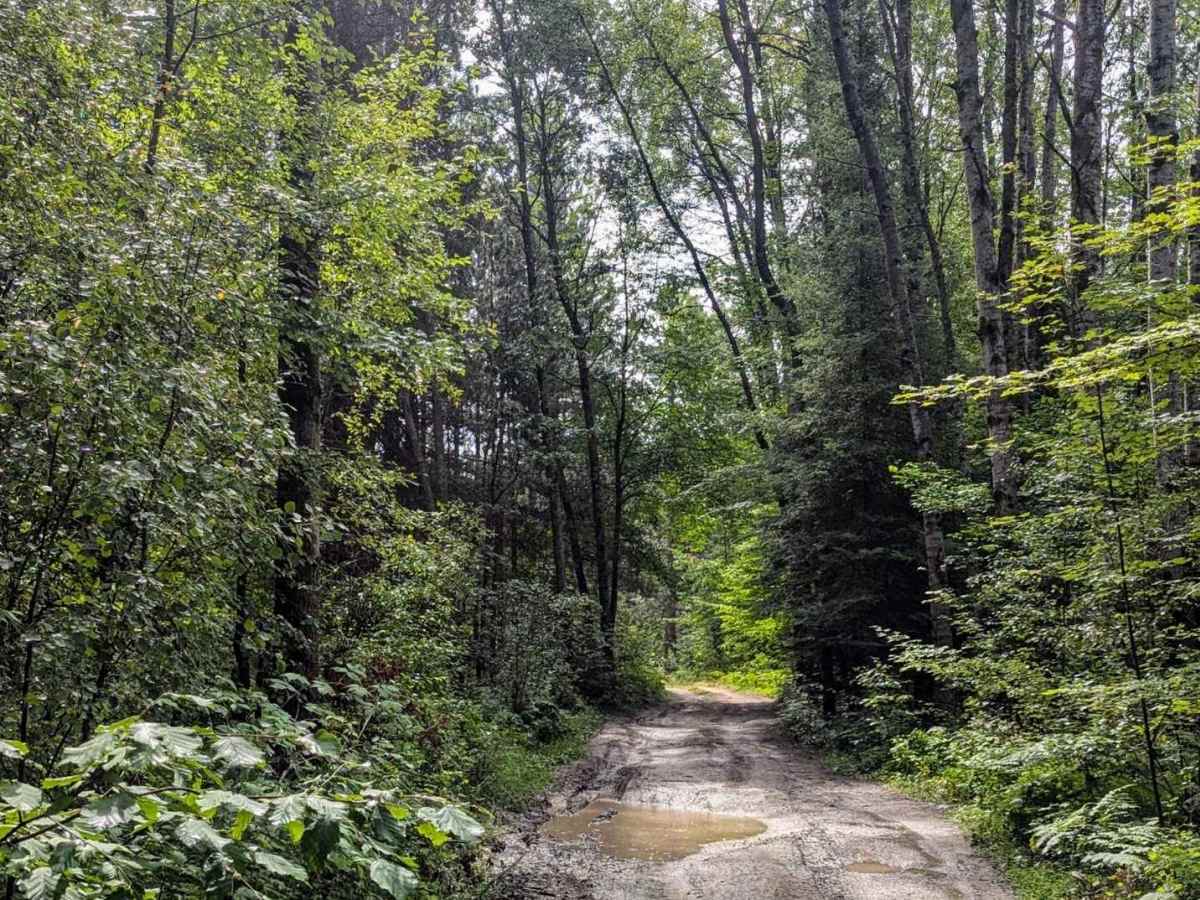 Mason Chapel - NFS 4209 trail photo