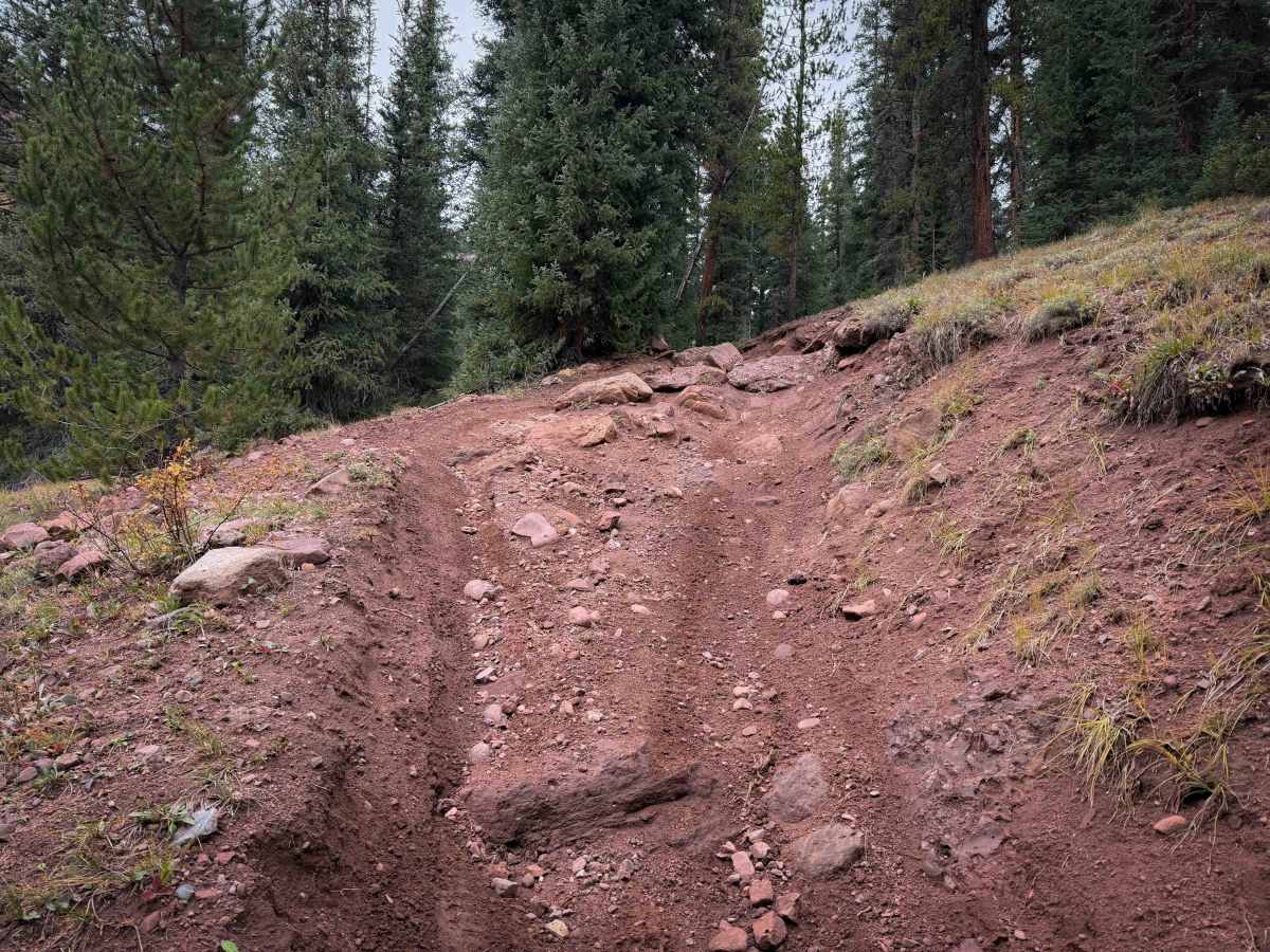 Bear Creek Trail South - FS 415 photo 3