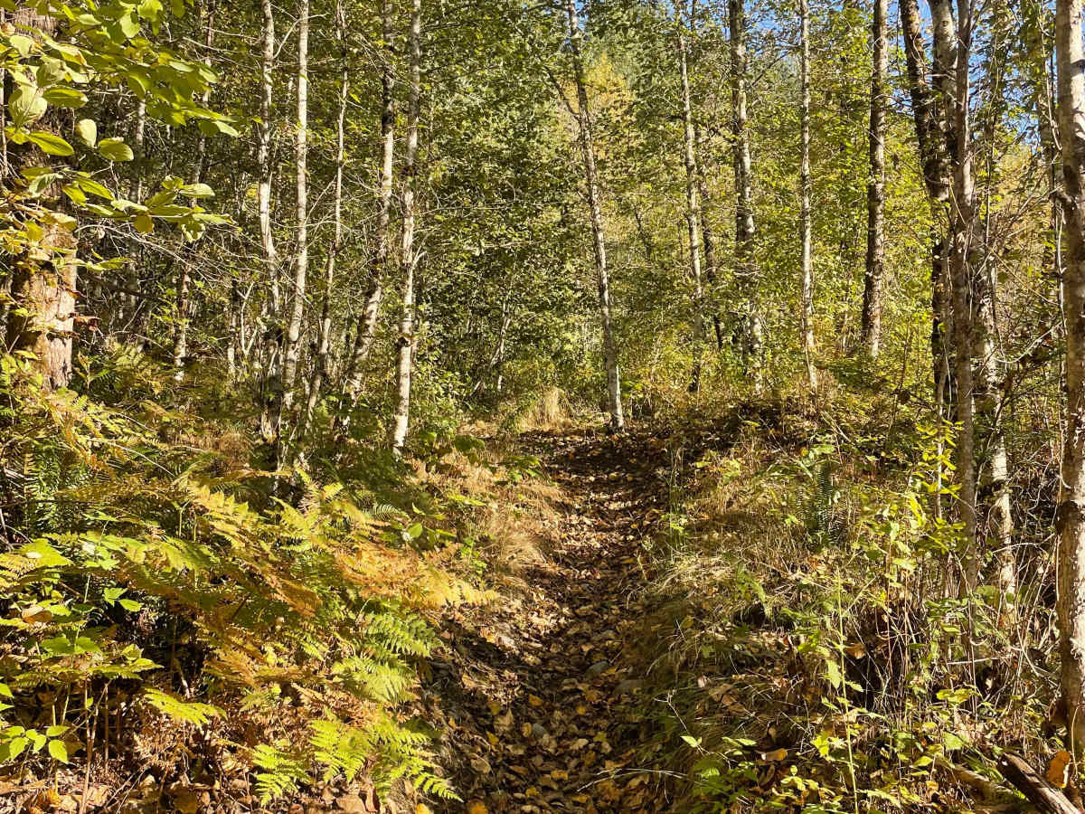 Minimoto trail photo