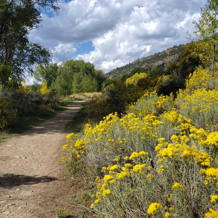 Near Wilbert's Way