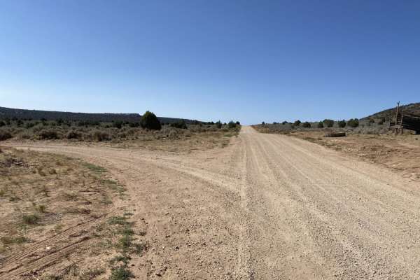 Pine Tree Road