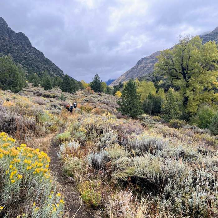 Near Steens Campground to Steens Mountain Near Steens Campground to Steens Mountain