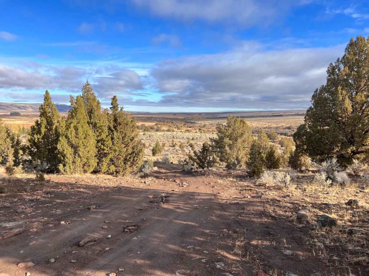 Steens Resort ODT photo 4