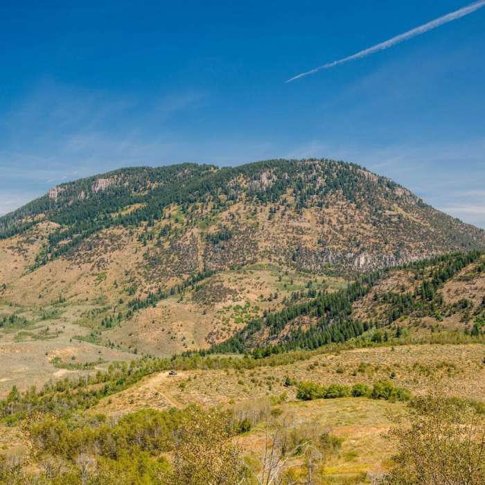 Near Willow Creek/Little Cottonwood