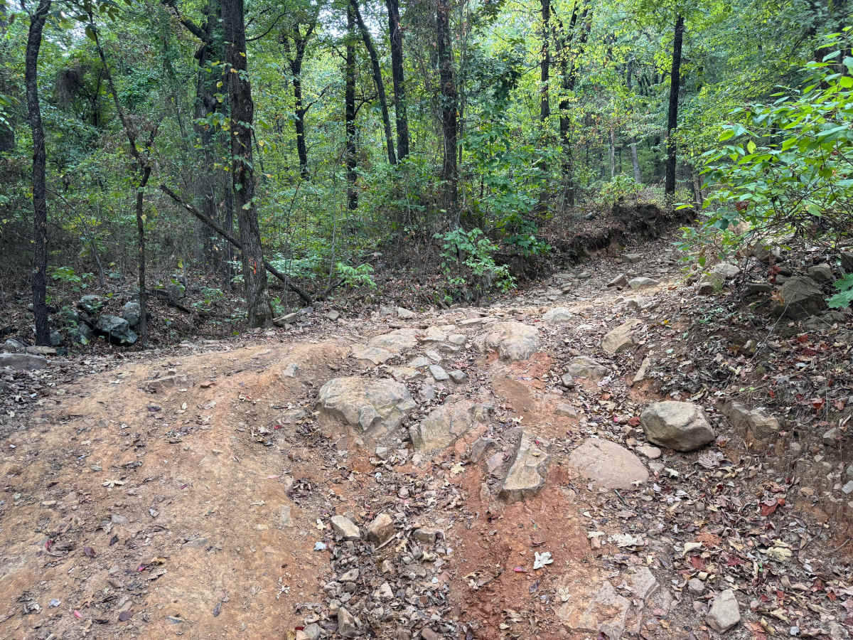 Huckleberry Mountain Orange photo 5