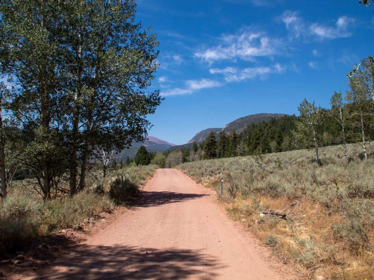 Upper Yellowstone - FS 10124 photo 5