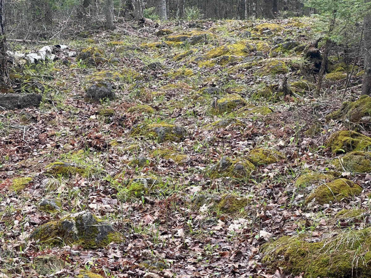 Short Run Loop photo 3