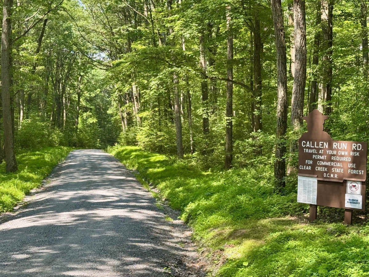 Callen Run Road photo 2