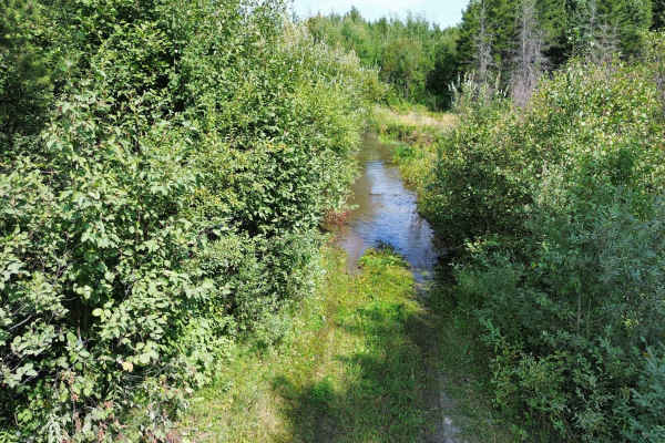 Jeep Mine Road