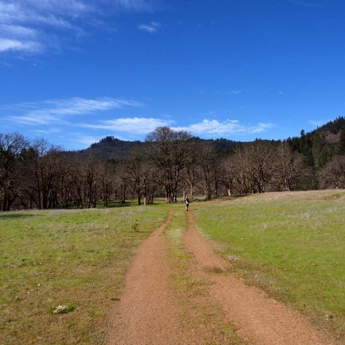 Near Elk Creek Trail