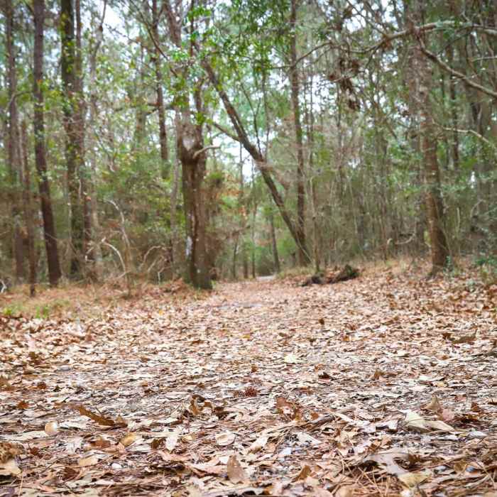 Near Sugar Mill Nature Trail Near Sugar Mill Nature Trail