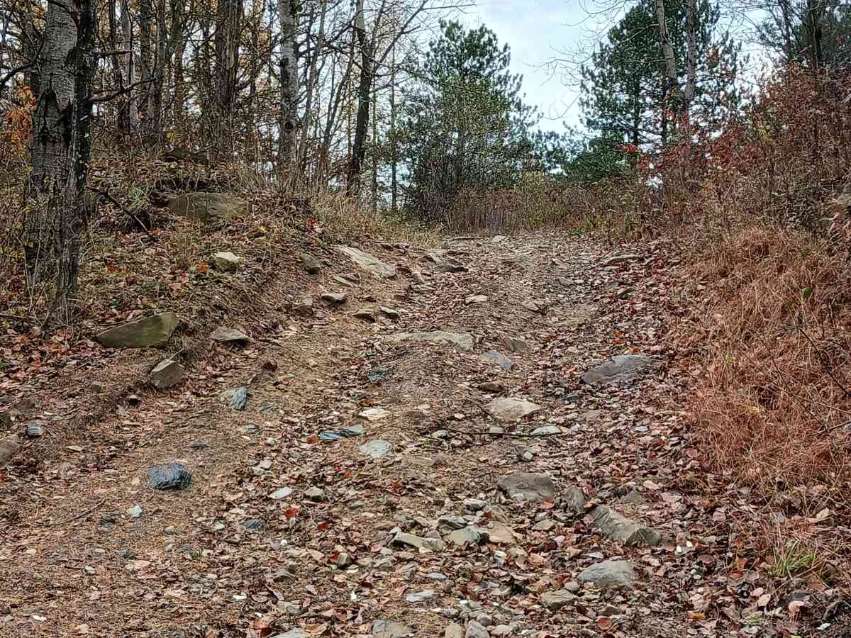 Trail 11 - Rock Run Recreation Area photo 6