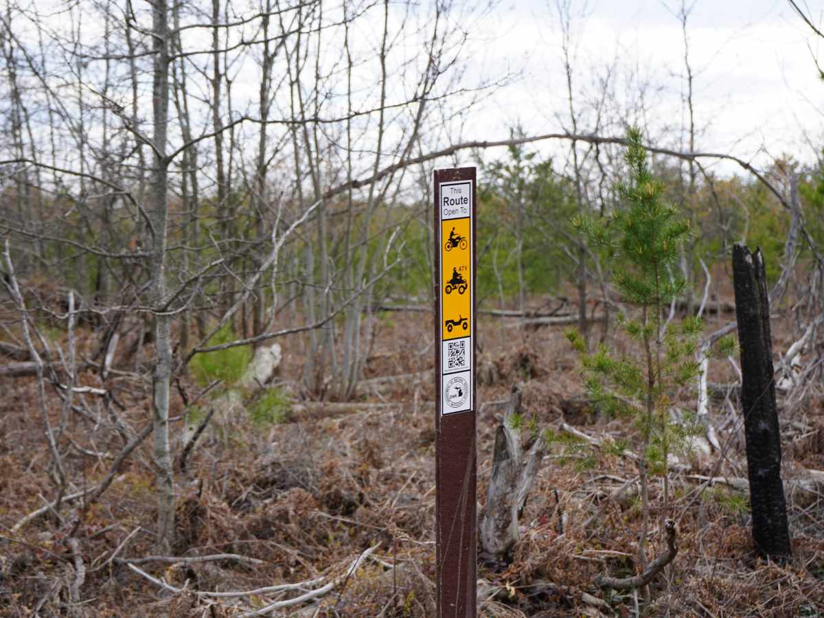 West Marl Lake Trail photo 6