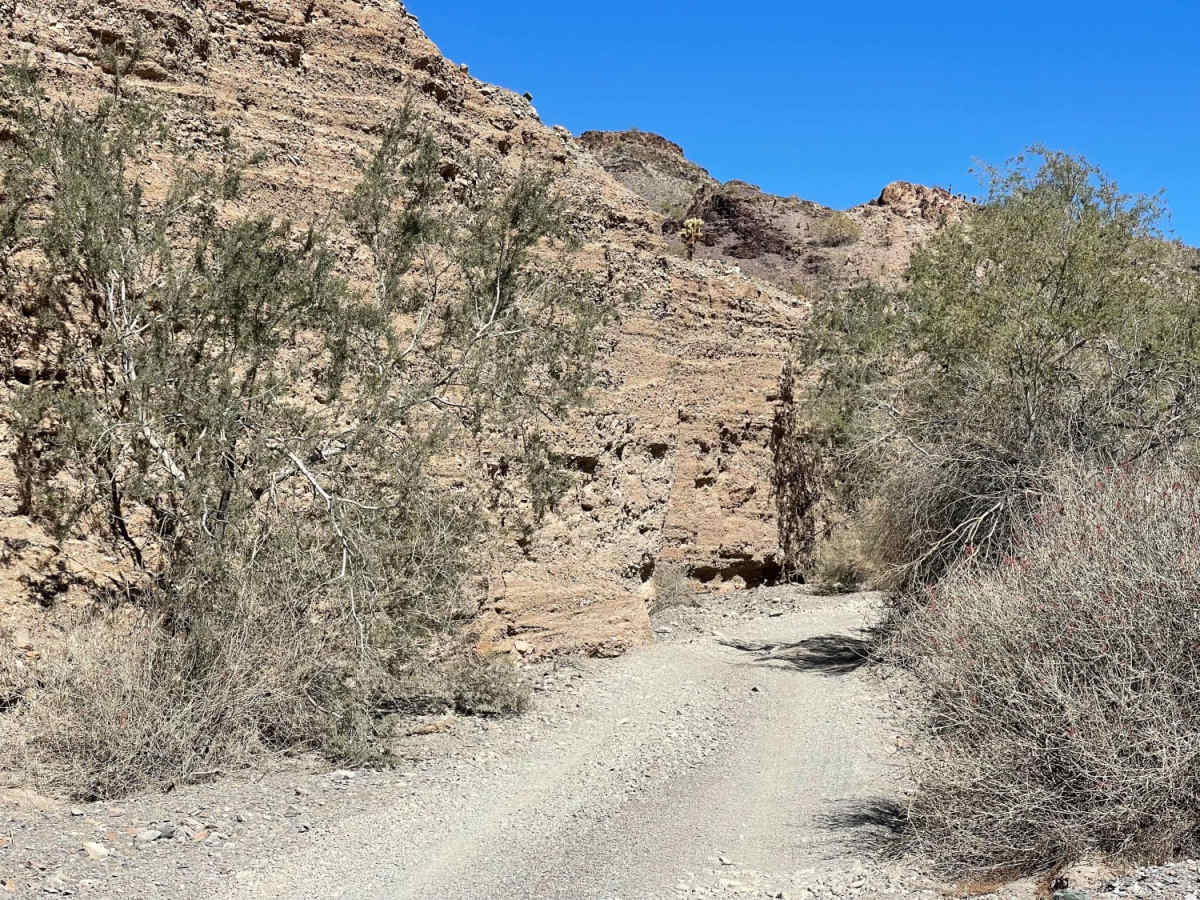 Dripping Springs Southern Loop photo 2