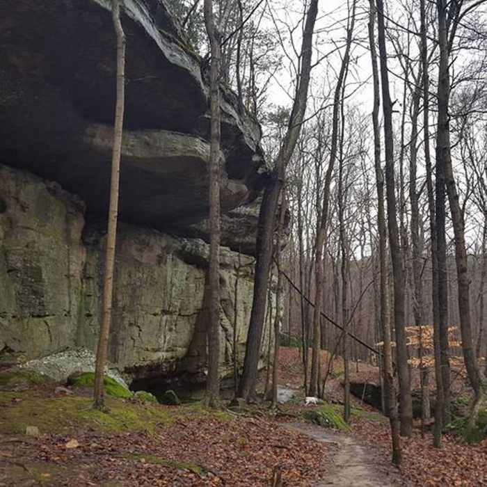 Rock Shelter Near Jackson Falls