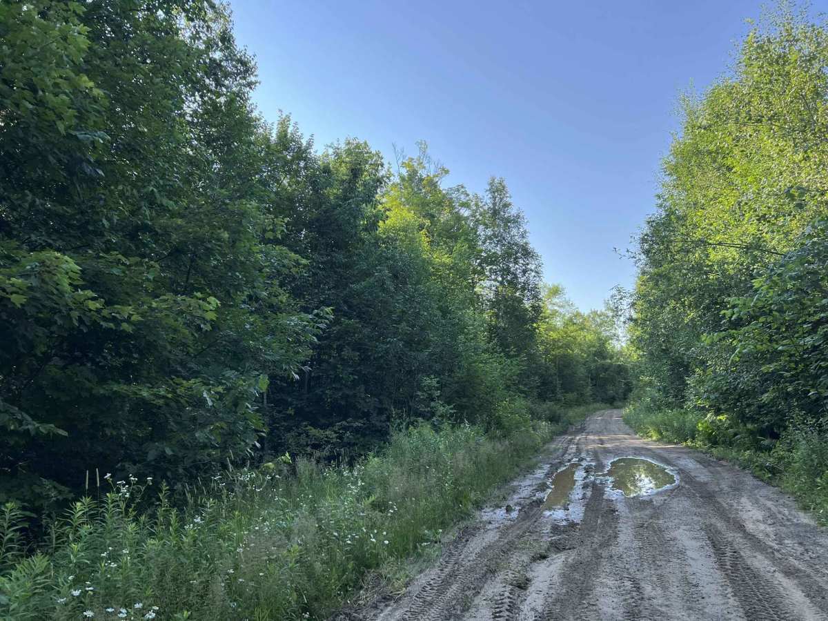Northwoods Drive photo 6