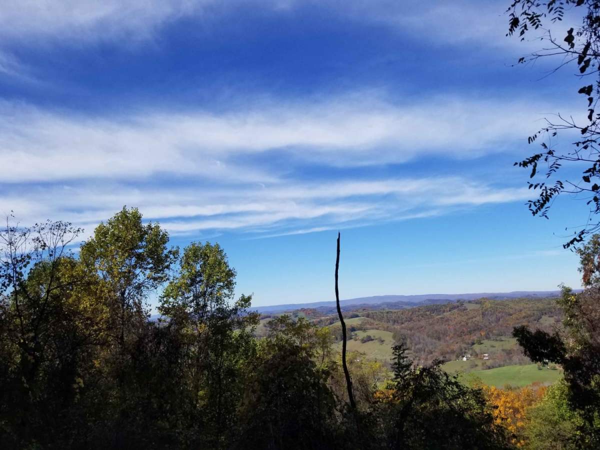 Clinch Mountain Fire Tower photo 5