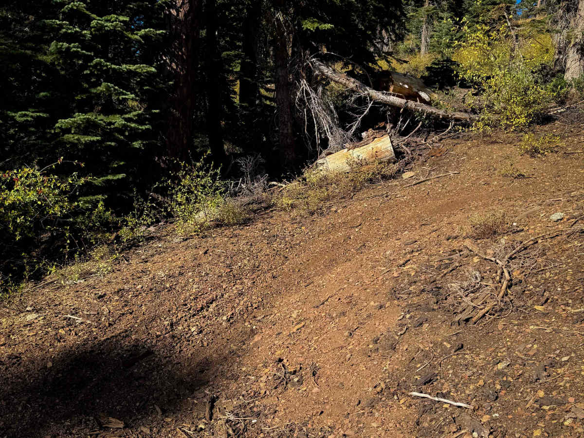 Pack Saddle Drop  photo 6