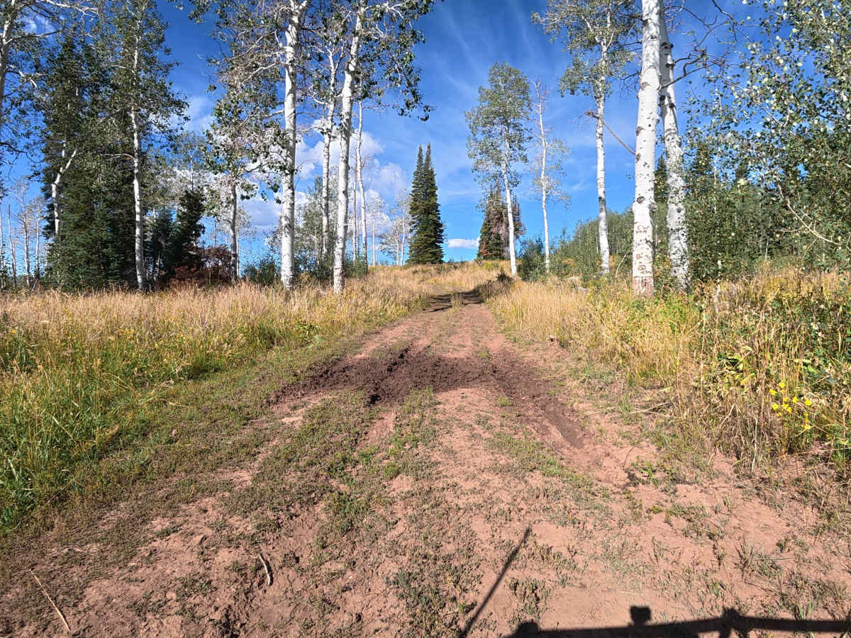 Big Ridge Road - FS 243 photo 3
