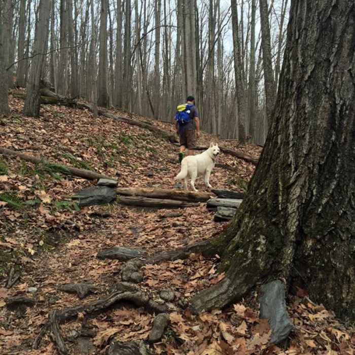 Near Gambrill State Park Loop