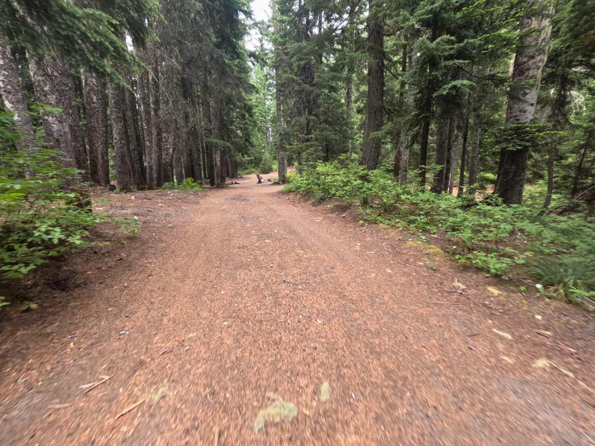 Council Lake - FS 2334-016 trail photo