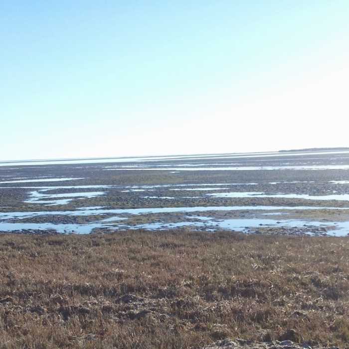 Near Estero to Sunset Beach