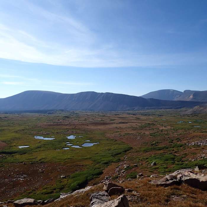 Near Henry's Fork Trail