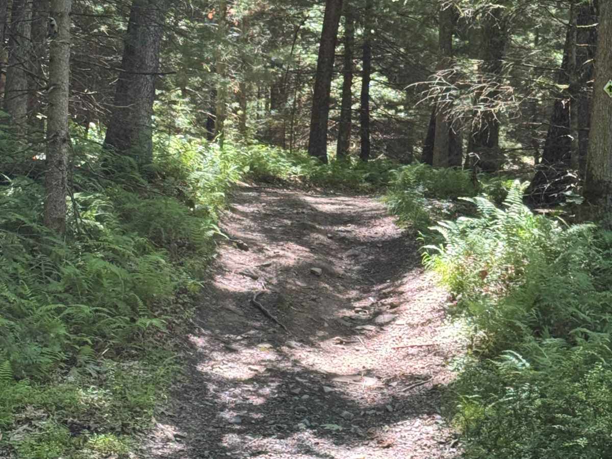 Lehigh Loop photo 5