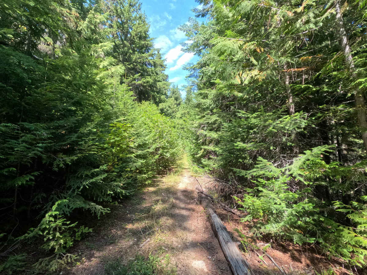 West Skip - FS 1342 photo 4