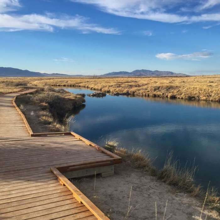 Near Horseshoe Springs Near Horseshoe Springs