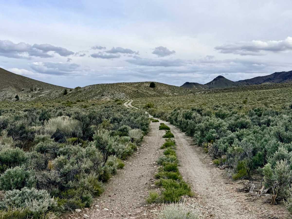 Barrel Spring Dry Canyon - FS 44451 trail photo