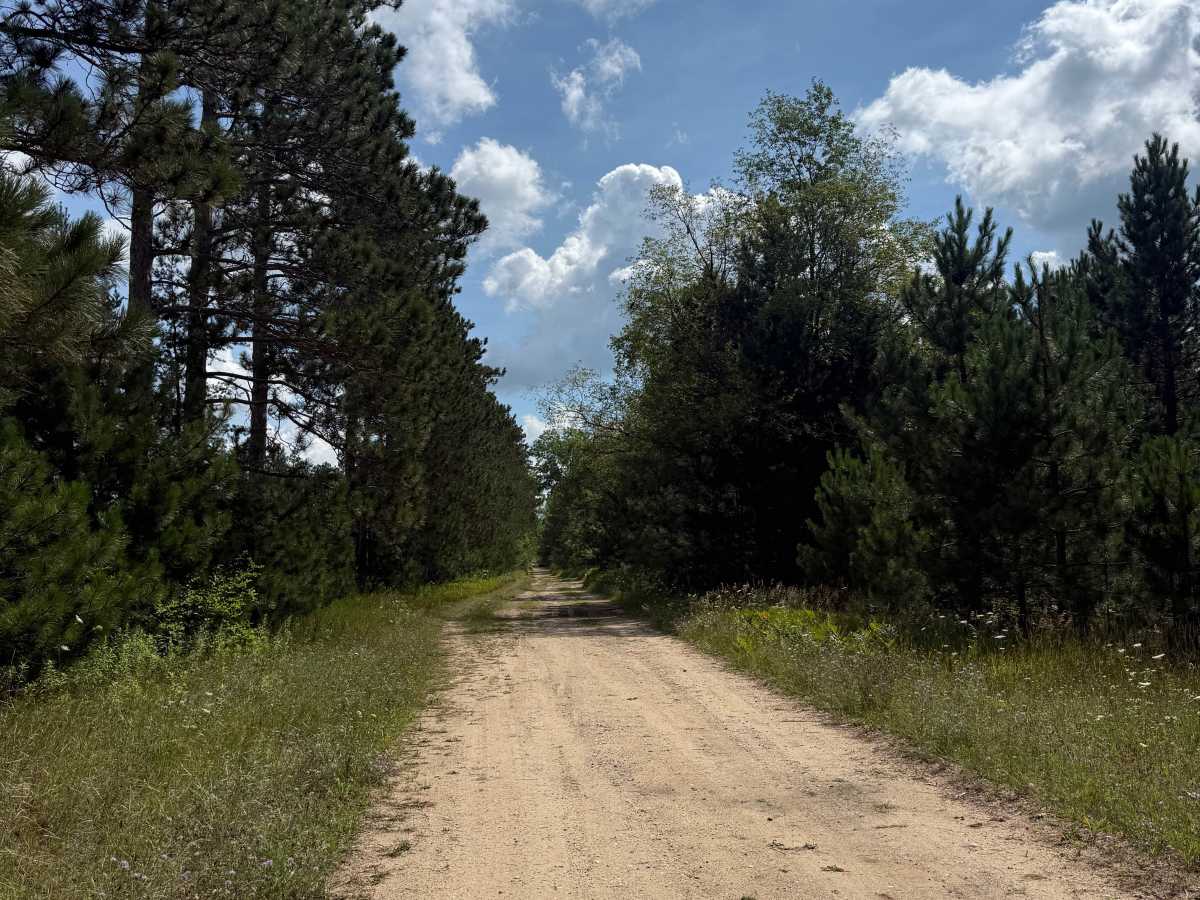2nd Creek Trail photo 3