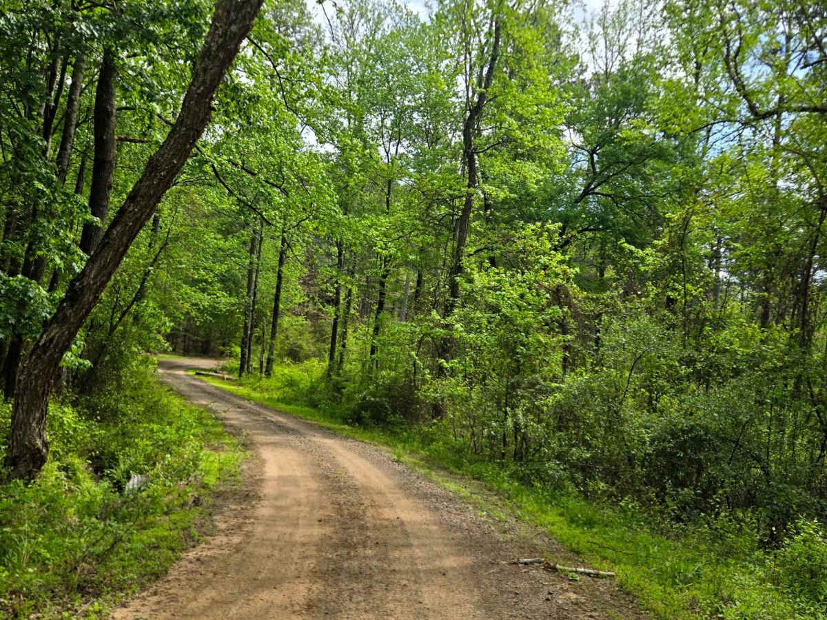 Graham Road photo 4
