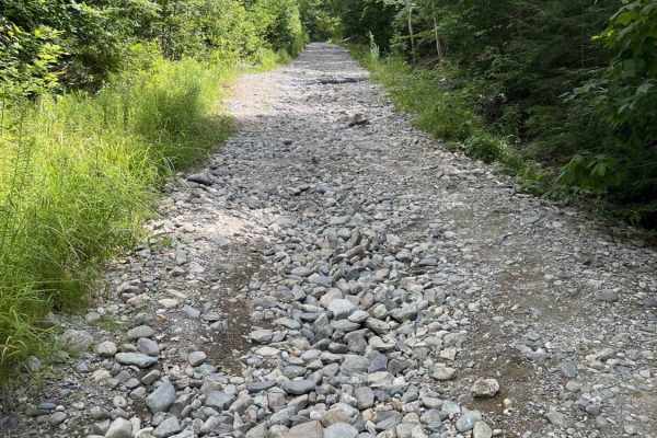 Bald Mountain Trail