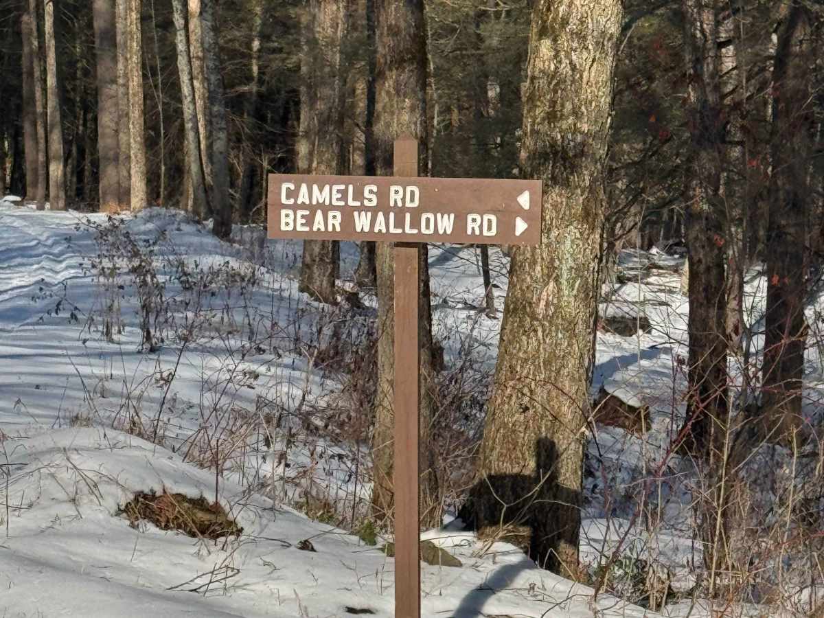 Camel's Road trail photo