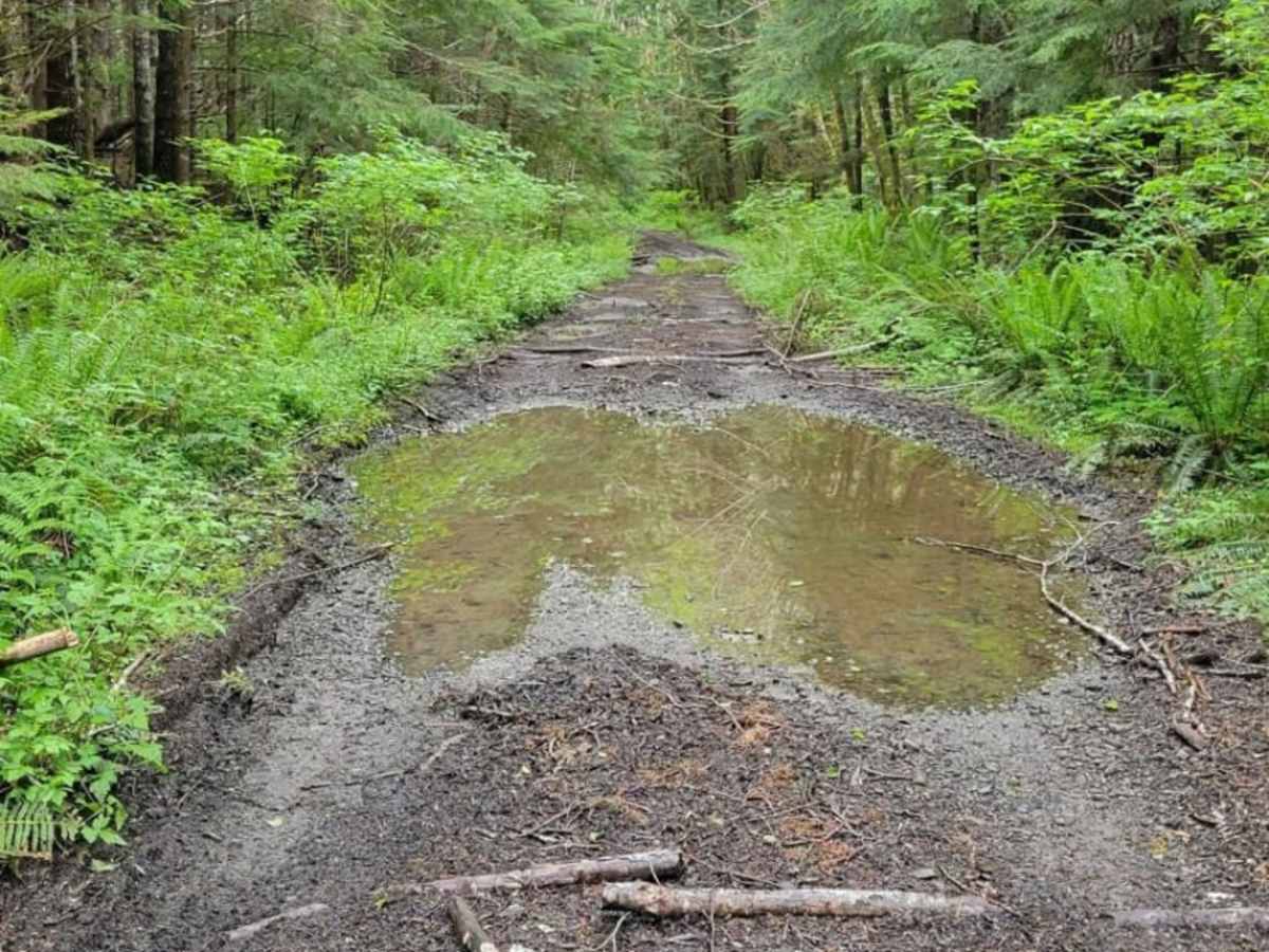 Kugel Creek photo 5