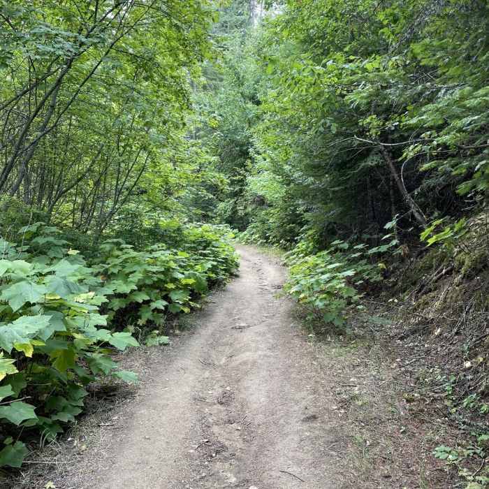 Near Antoine's and Canfield summit gulch