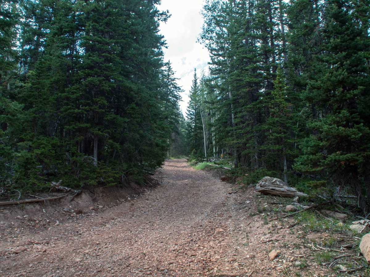 Kane Hollow - FS 10249 photo 5