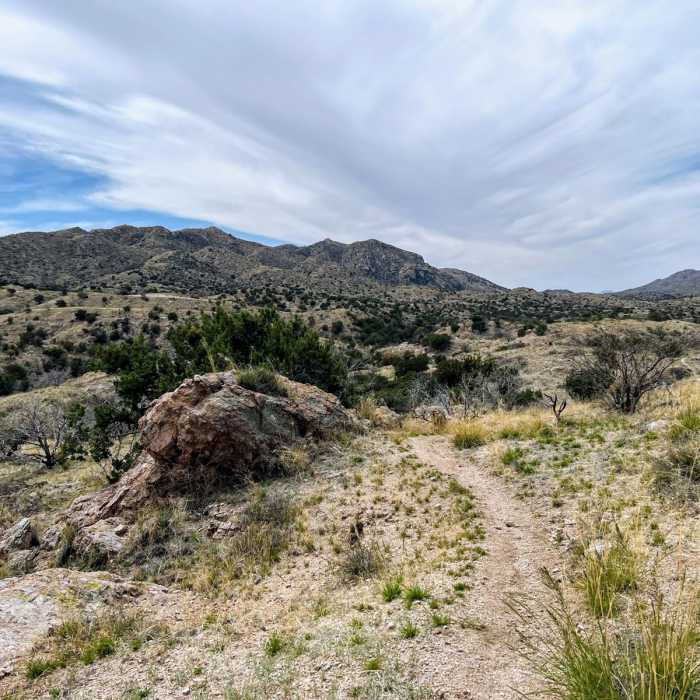 Near Arizona Trail Passage 10: Redington Pass