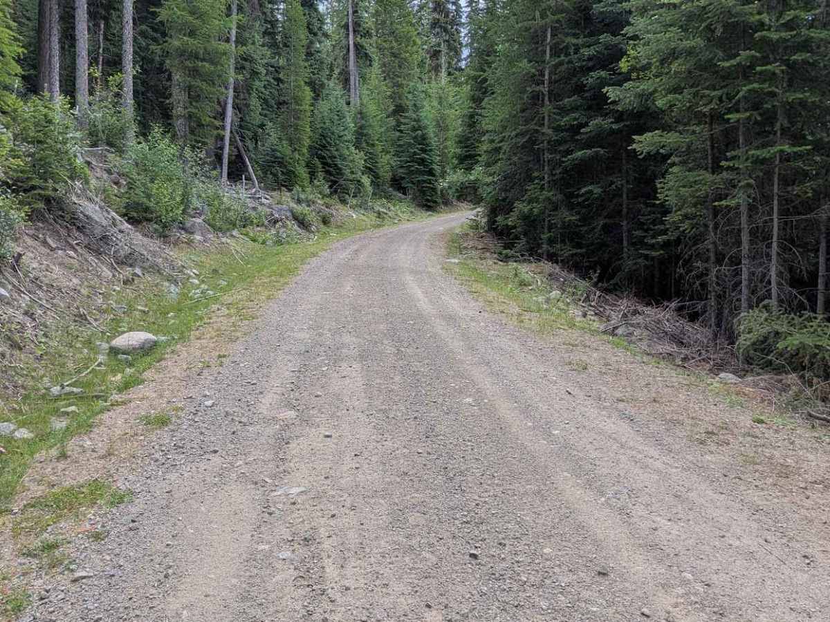 Chickadee Road photo 5