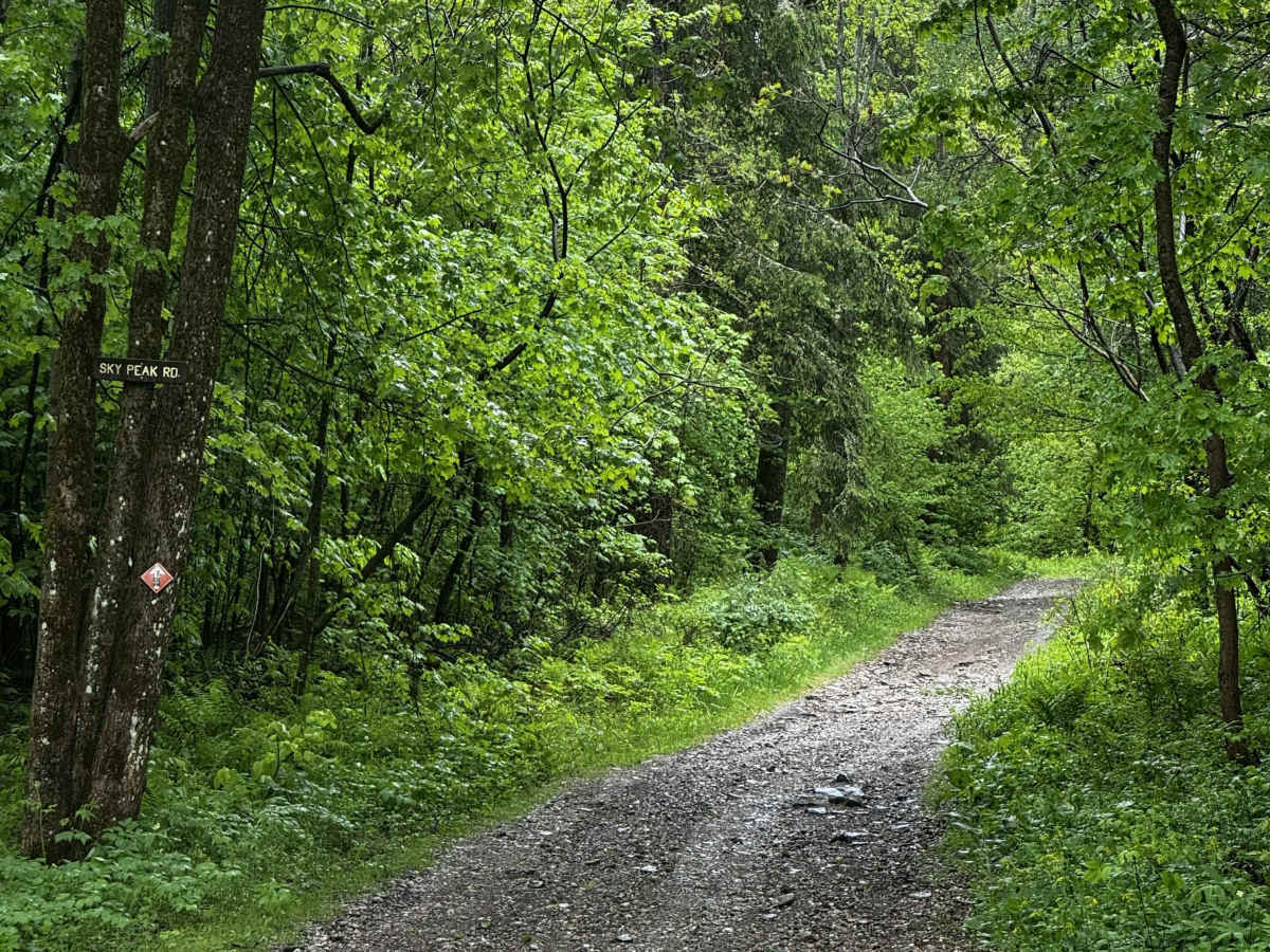 Sky Peak Road trail photo