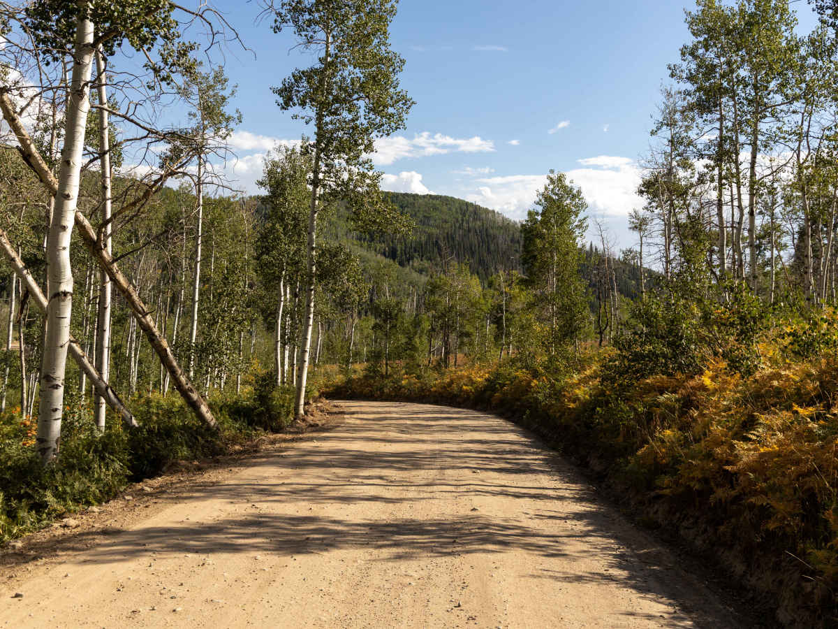 Buffalo Pass photo 2