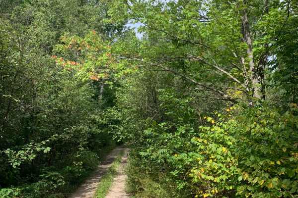 Godlevske Trail